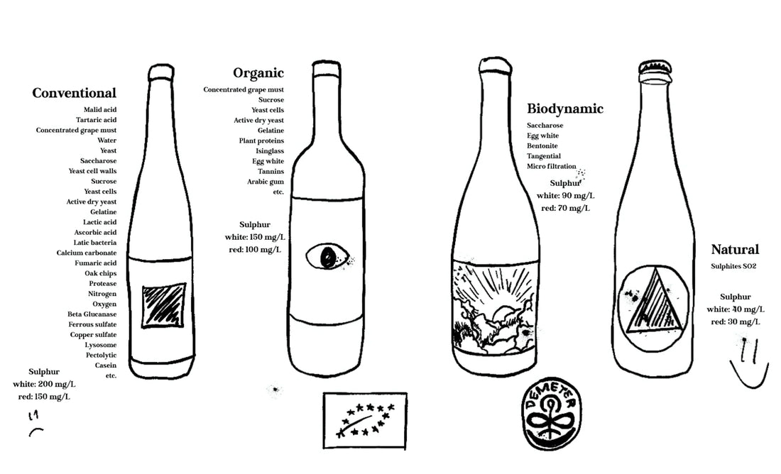 Natural Wine, Organic, or Biodynamic comparison