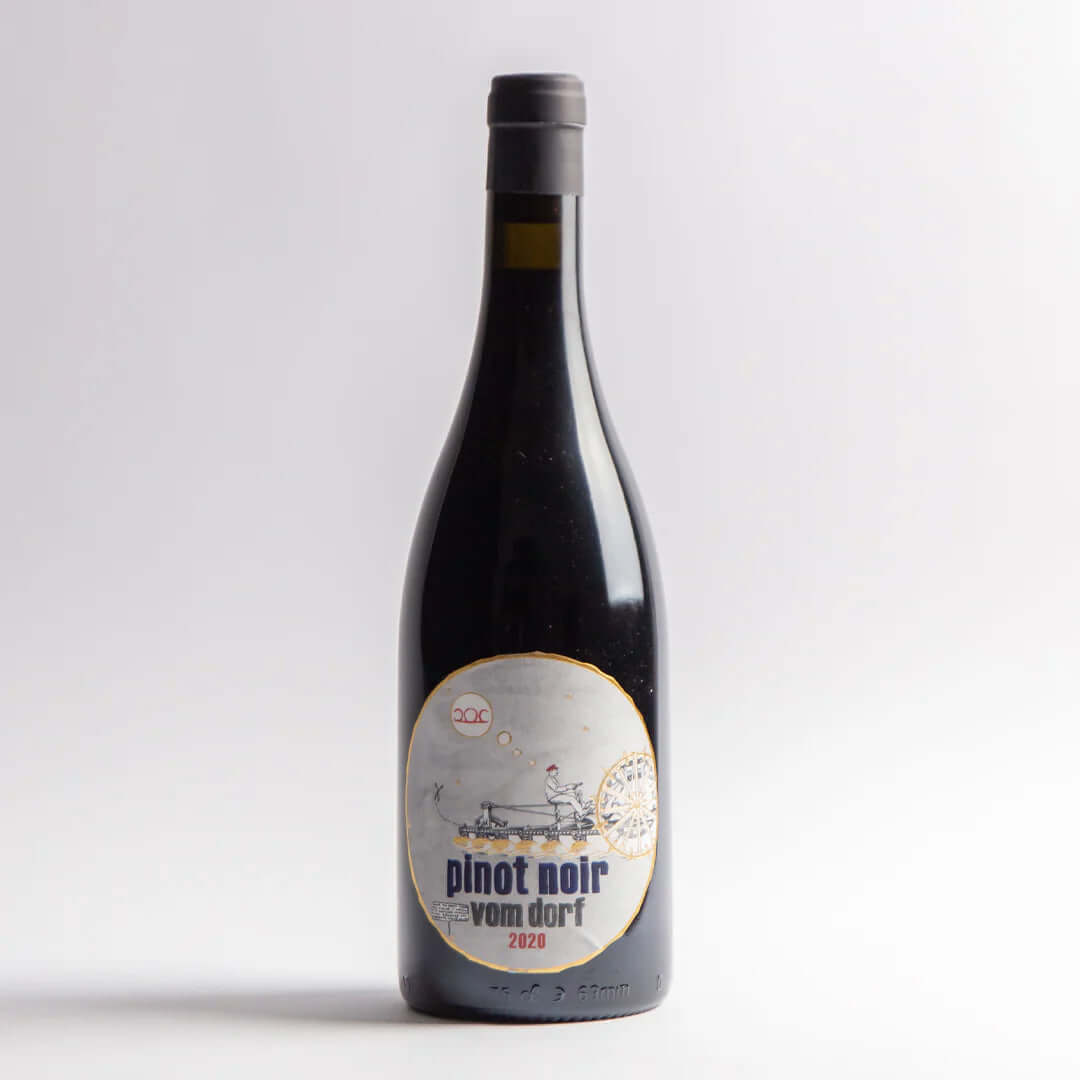 Pinot Noir, Pittnauer, Austria, Burgenland - Just Grapes