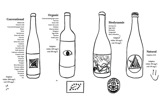 Natural Wine, Organic, or Biodynamic comparison