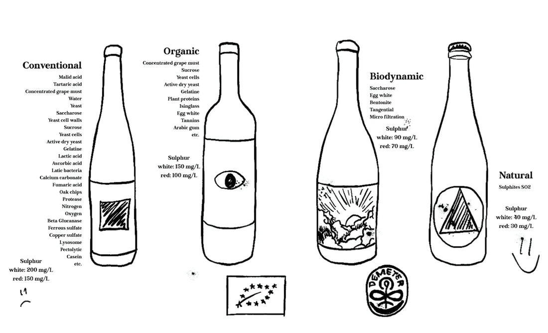 Natural Wine, Organic, or Biodynamic comparison