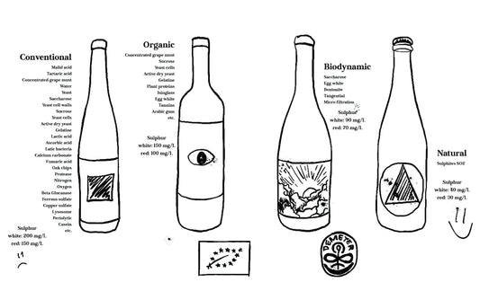 Natural Wine, Organic, or Biodynamic comparison