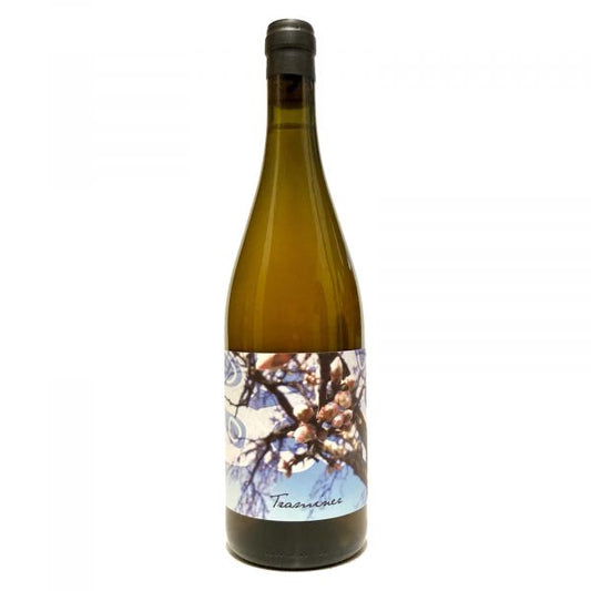 Back Traminer Orange Wine